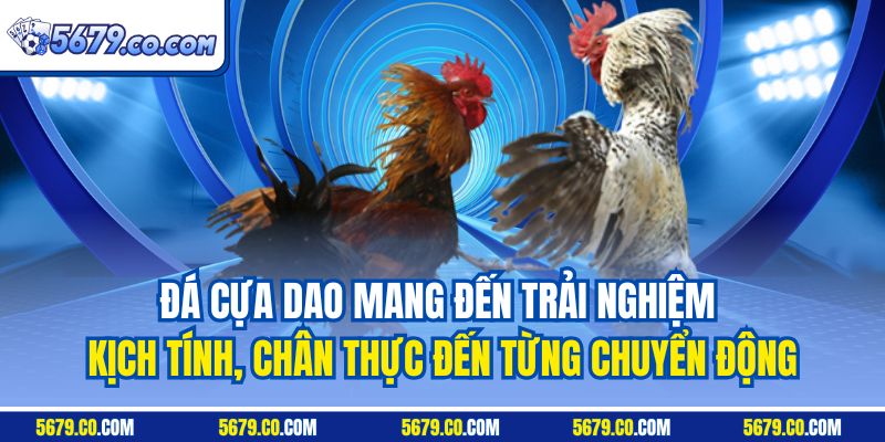 Đá cựa dao mang đến trải nghiệm kịch tính, chân thực đến từng chuyển động