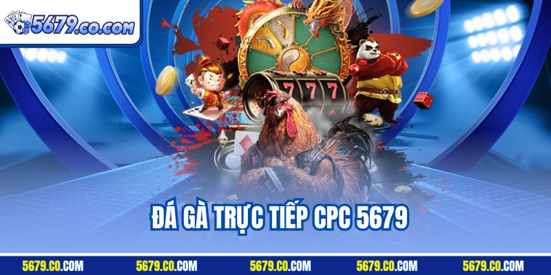 Đá Gà Trực Tiếp CPC 5679 - Điểm Dừng Chân Cho Mọi Hội Viên